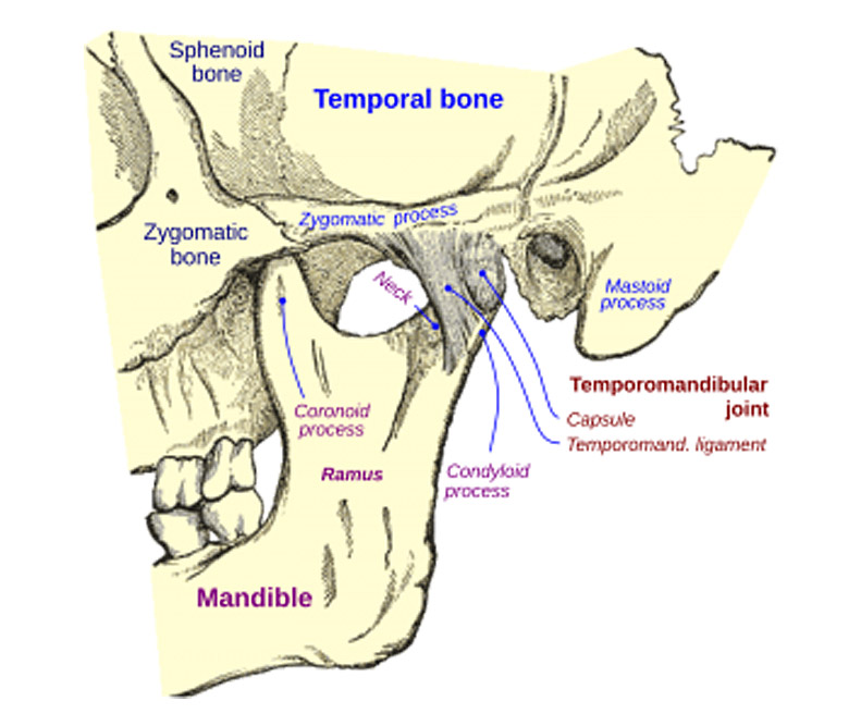 TMJ dysfunction Treatment